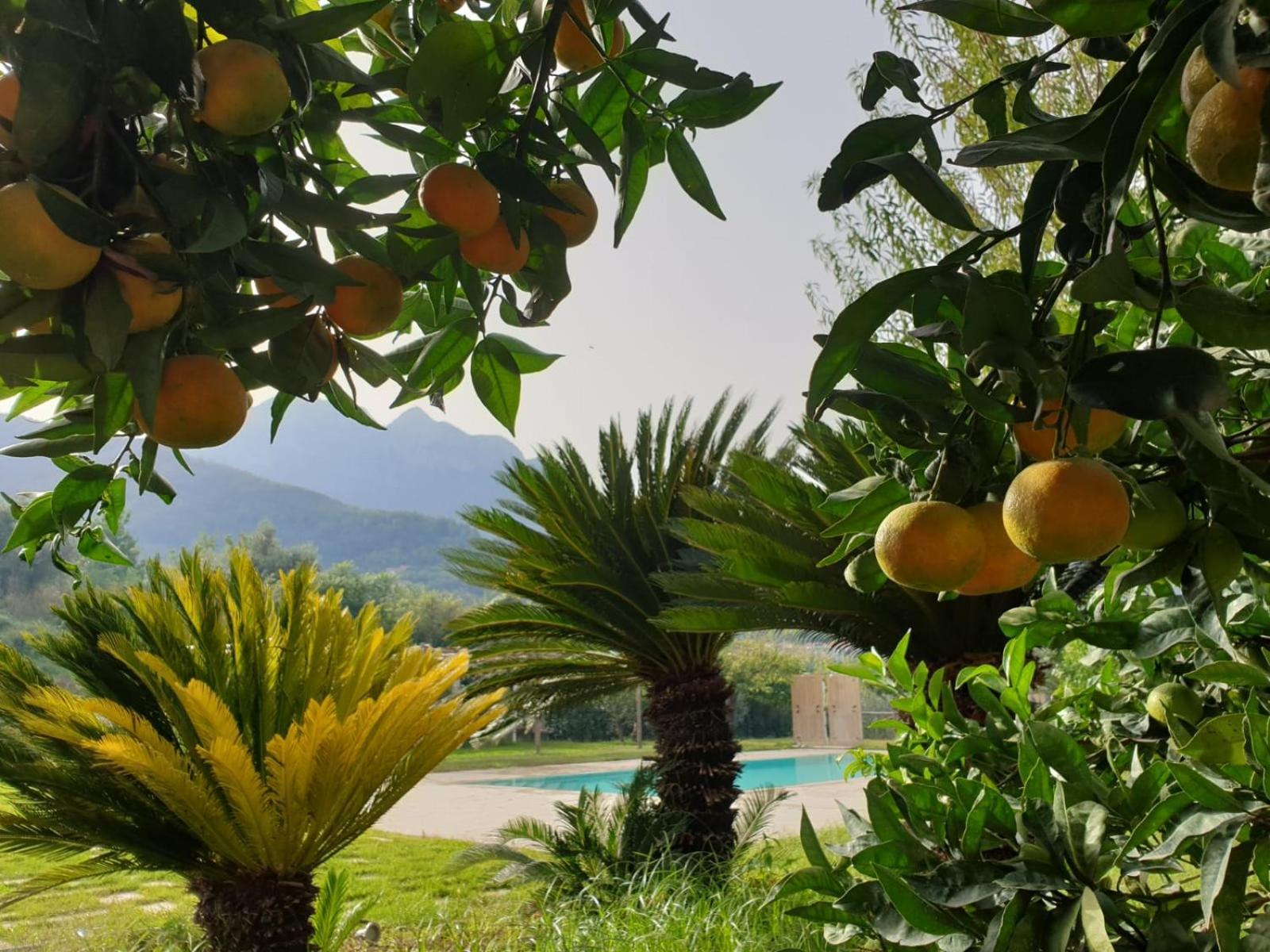Terra Vitale Cava deʼ Tirreni Εξωτερικό φωτογραφία