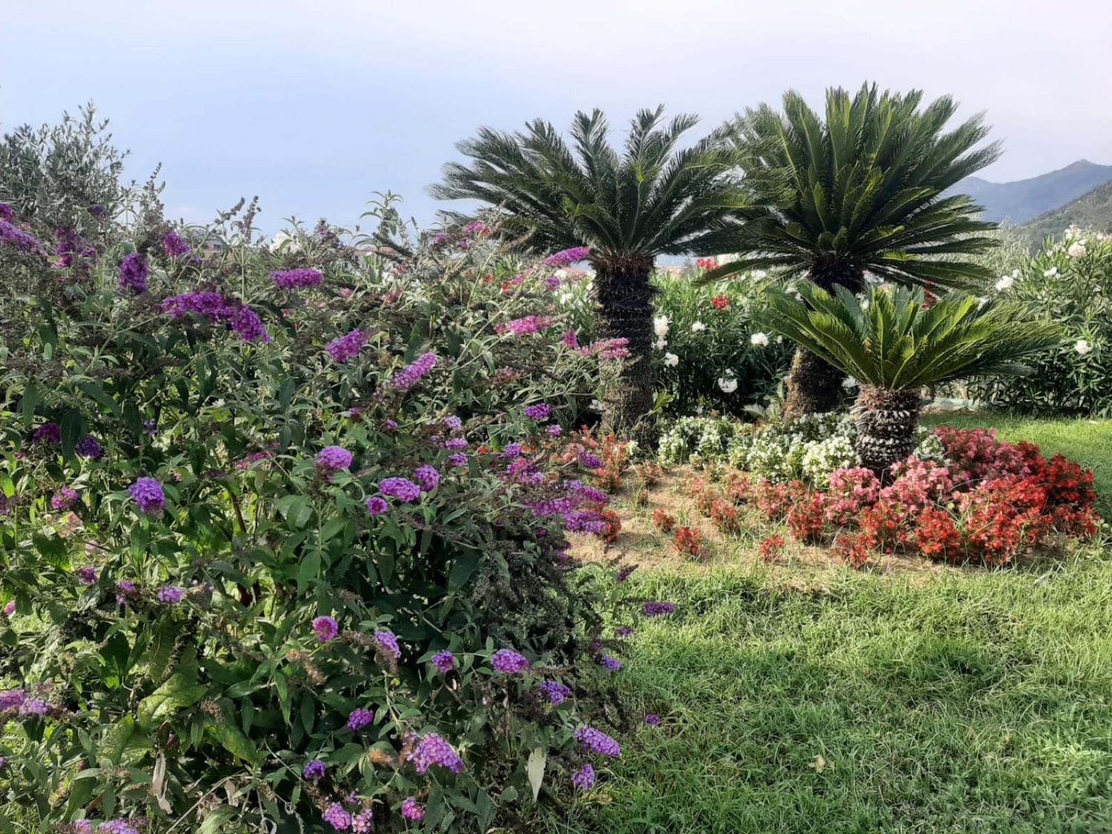 Terra Vitale Cava deʼ Tirreni Εξωτερικό φωτογραφία